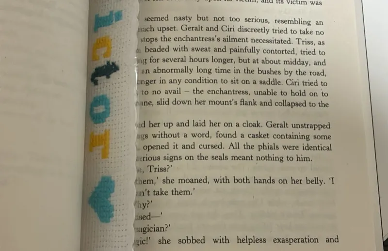 Finally started reading the Witcher books